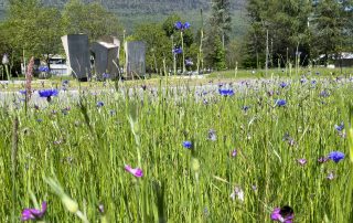 Savoie technolac-prairie fleurie-gonthier-chambery-IMG_1815