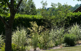 Rénovation jardin Gonthier Chambéry-73