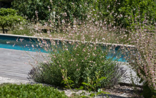 Jardin-piscine-Gonthier-Chambéry-73