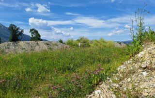 reconstitution-terre-végétale-régénéterre-gonthier-la-motte-servolex-savoie-73