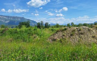 reconstitution-terre-végétale-régénéterre-gonthier-la-motte-servolex-savoie-73