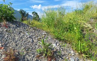 reconstitution-terre-végétale-régénéterre-gonthier-la-motte-servolex-savoie-73