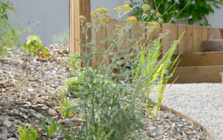 renovation jardin Gonthier Chambéry Savoie Cécile Bouchayer-21165