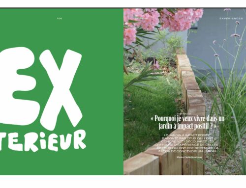 Actu Cosy Expériences : JIP témoignages